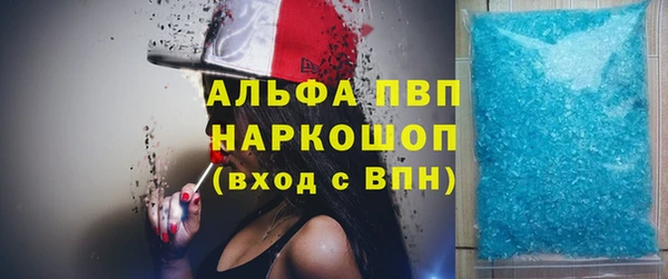 стафф Карпинск