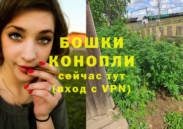 эйфоретик Козловка