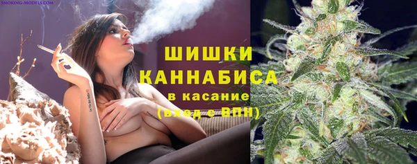 эйфоретик Козловка